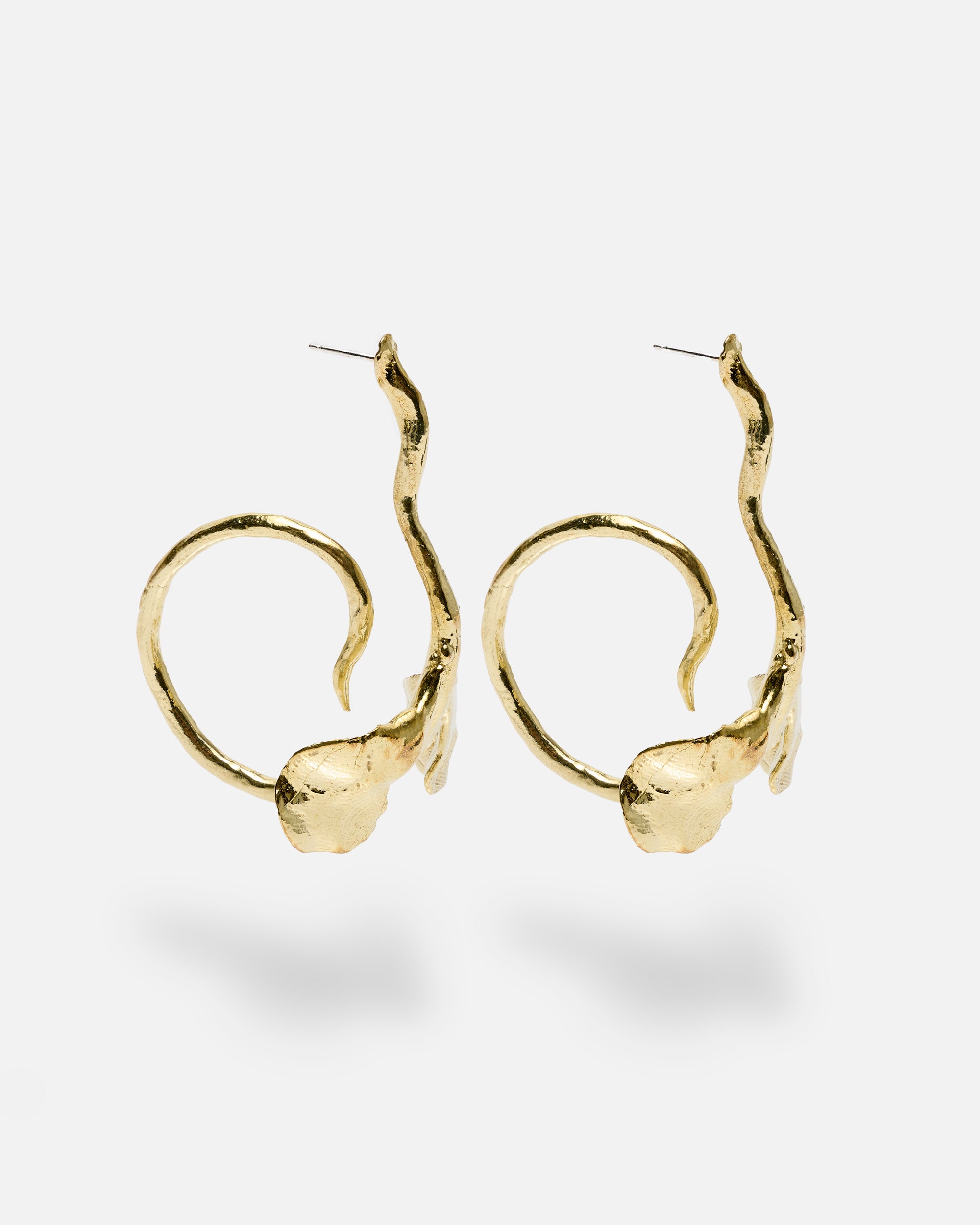 SWAN IVY// golden earrings